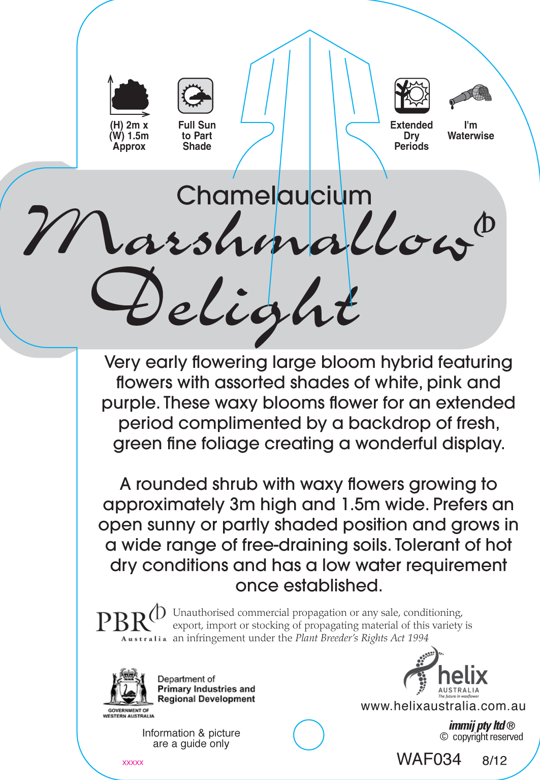 Marshmallow Delight Helix Australia